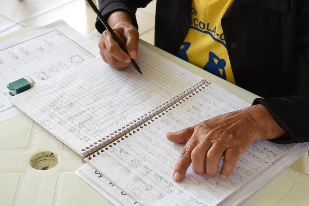 Inscrições para voluntários do Programa DF Alfabetizado - Saldo Remanescente 2025 estão abertas